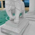 张家口 白麻花岗岩动物异形石雕-大象