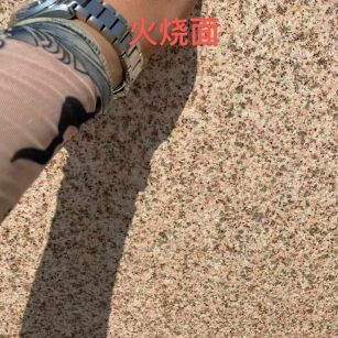 张家口黄金麻火烧面