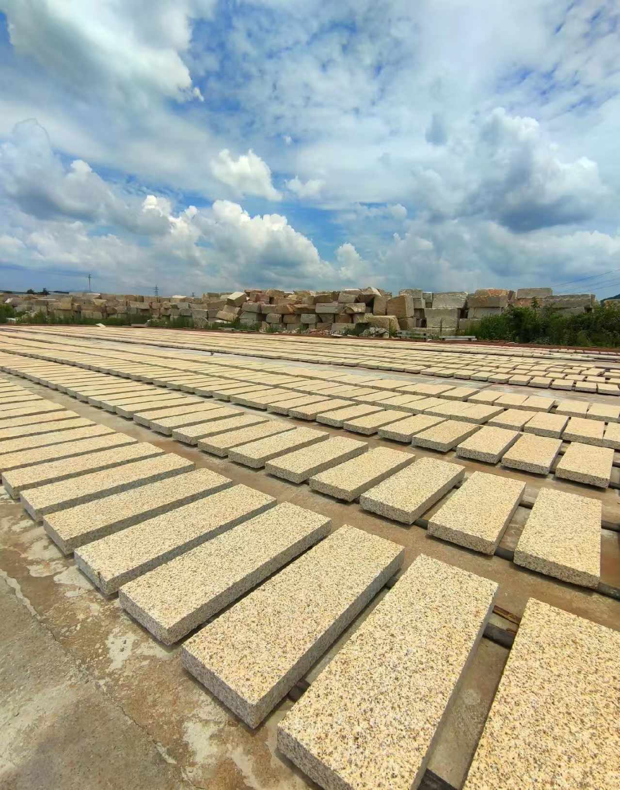 张家口 黄金麻荔枝面花岗岩石材地铺石防护中